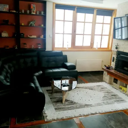 Panic Villa *