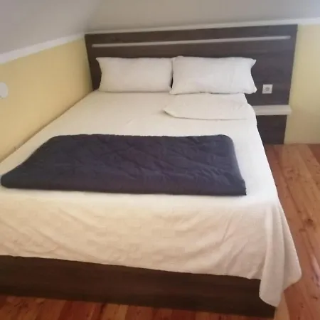 Villa Panic Zlatibor