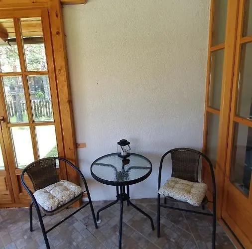 Panic Златибор