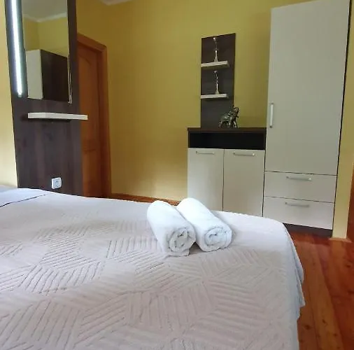 Panic * Златибор