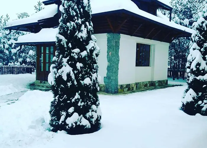 Вилла Panic Златибор